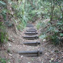 みろく沢石炭の道