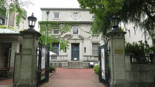 中庭には横浜の歴史を感じられる玉楠があります