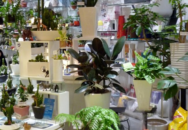 プランツプランツ なんばパークス店 クチコミ アクセス 営業時間 ミナミ 難波 天王寺 フォートラベル