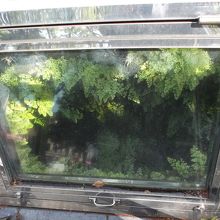 中、わかりますか