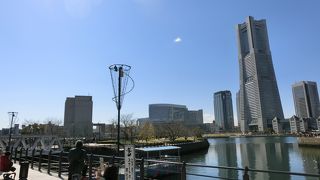 カモメがたくさん