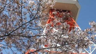 ＴＯＷＥＲ ＯＦ ＵＴＳＵＮＯＭＩＹＡ