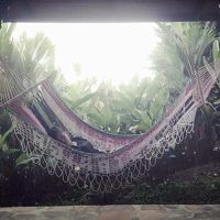 ホテル敷地内を散歩しているとガゼボ内にハンモック。