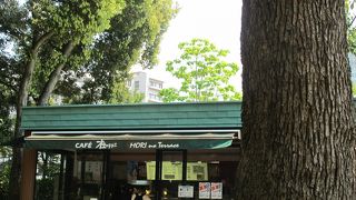 明治神宮の参拝帰りに寄りました。風が気持ちいいオープンカフェです。