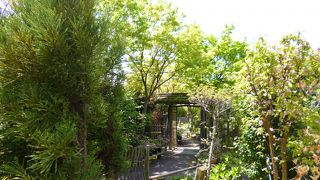 回遊式日本庭園