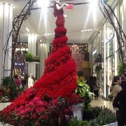 Macy's Flower Show