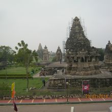 西群の様子です。