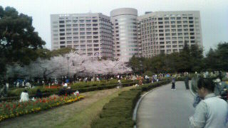 名古屋の花見の名所