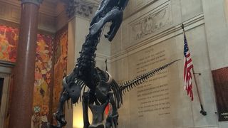 絶対おすすめ！