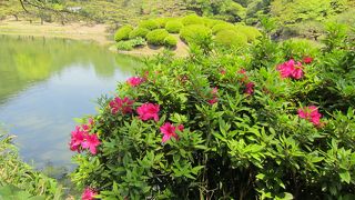 緑がきれいでした