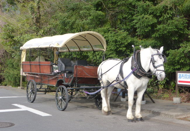 馬車に乗るからこそ分かる由布院の美しさ☆