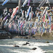 ここ杖立が鯉のぼり祭りの元祖（らしい…）