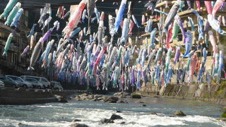 ここ杖立が鯉のぼり祭りの元祖（らしい…）