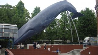 親子連れに人気