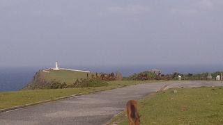 ウンコに注意です