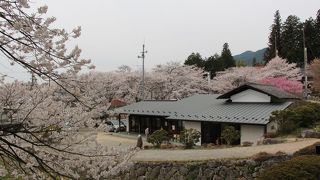 瑠璃寺瑠璃の里会館