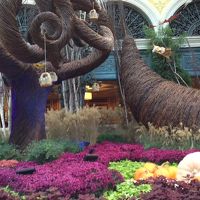 ロビー・秋のデコレーション