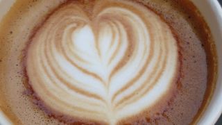 ベアポンド エスプレッソ