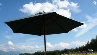 残雪の十勝岳連峰を一望する花畑は圧巻！！