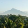 メラピ火山がきれいに見えました