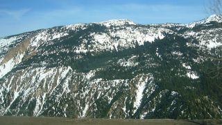 グレイハウンドバス