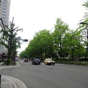 山下公園沿いの銀杏並木の通りです