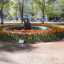 オレンジチューリップ