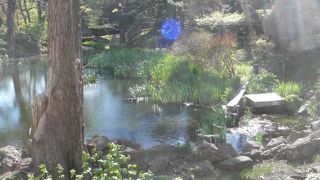 園内に小川が流れる