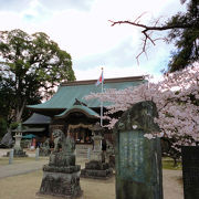 佐賀市内にある桜の名所はこちら！