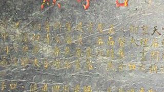 崖の中腹に散見する燕の巣？