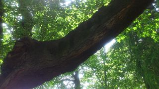 のんびりと過ごせます。