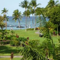 散歩に適したお庭