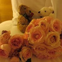 いただいたペアのぬいぐるみ。このブーケは挙式で使用したもの。