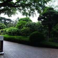 門から入口のアプローチと庭