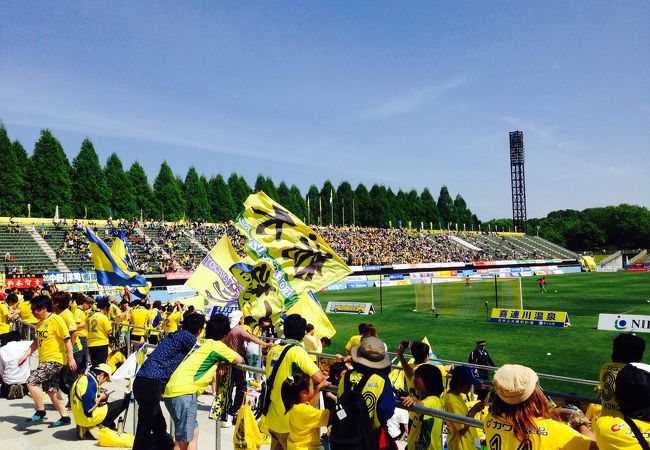 綺麗なサッカー場。