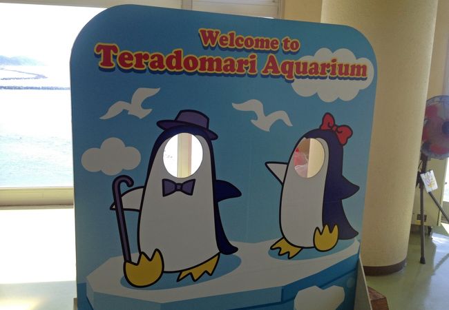 寺泊水族博物館 クチコミ アクセス 営業時間 長岡 寺泊 フォートラベル 寺泊水族博物館 クチコミ アクセス 営業時間 長岡 寺泊 フォートラベル