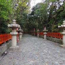 右側が小学校なので子供たちの声がうるさかった