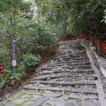 ゆるやかな階段。足場は悪い。