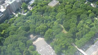 まさに都会のオアシス