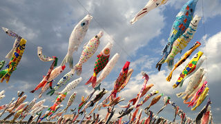 こいのぼりフェスタ