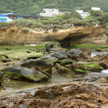 地層と緑の苔のコントラストが美しいです