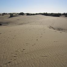 大砂丘にはいりこむとこんな風景