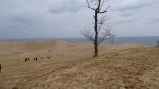 日本唯一の砂丘ですが