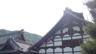 嵐山の代表的なお寺さん!!