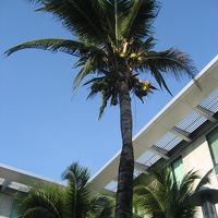 南国ムード満天