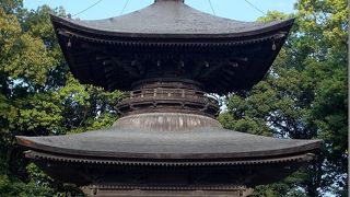 三河国二宮・花菖蒲の名所