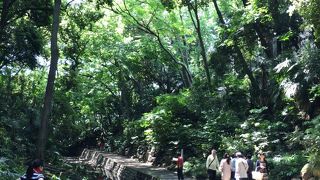 都内でリフレッシュ