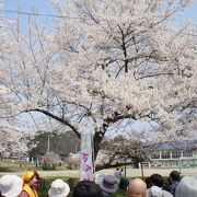 大切に守ってこられた地元の方に改めて敬意を表したいと思います。