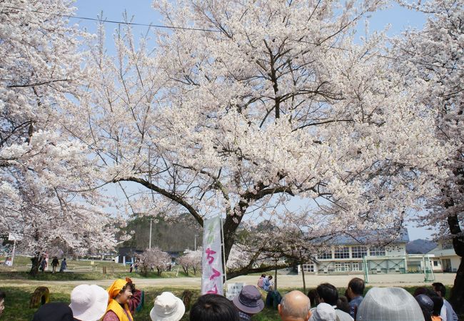 大切に守ってこられた地元の方に改めて敬意を表したいと思います。