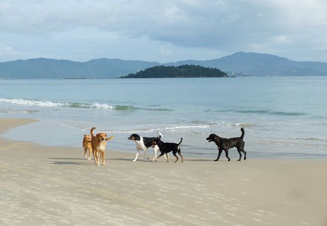 カナスビエイラス海岸